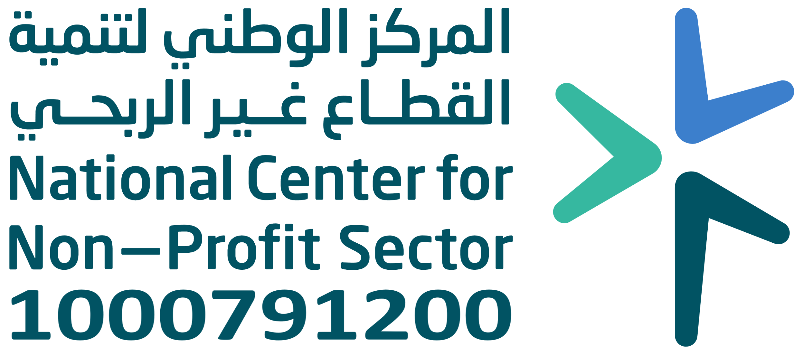 المركز الوطني لتنية القطاع غير الربحي National Center for Non-Profit Sector
